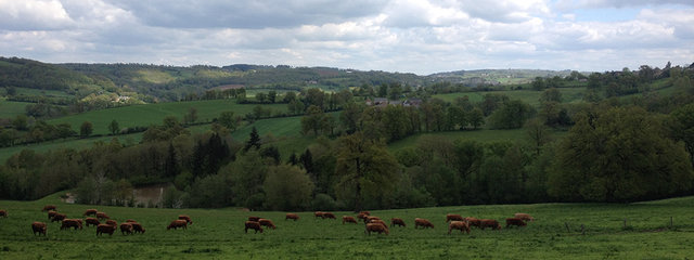 les paddocks sont dessinés de manière à respecter les différences de flore et de pousse
