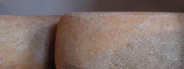 Tomme des Pyrénées