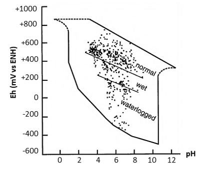 Figure 9 : Eh/pH caractéristiques des sols (Sparks 2003)